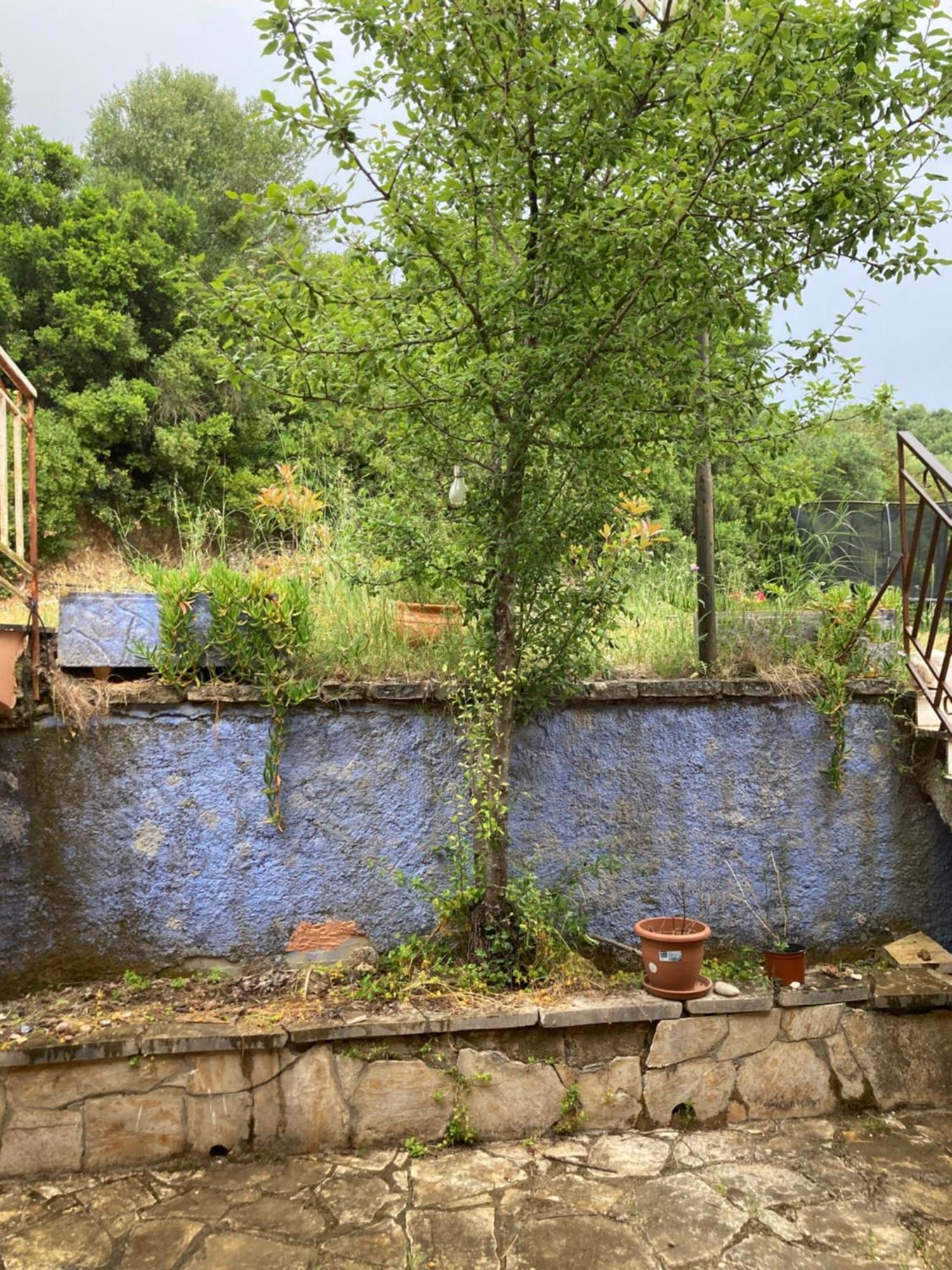 Kokkini Peach Budget Kokkínion Buitenkant foto